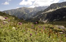 The Pirin Mountains 2 Stock Photo The Pirin Mountains 2 Stock Photo