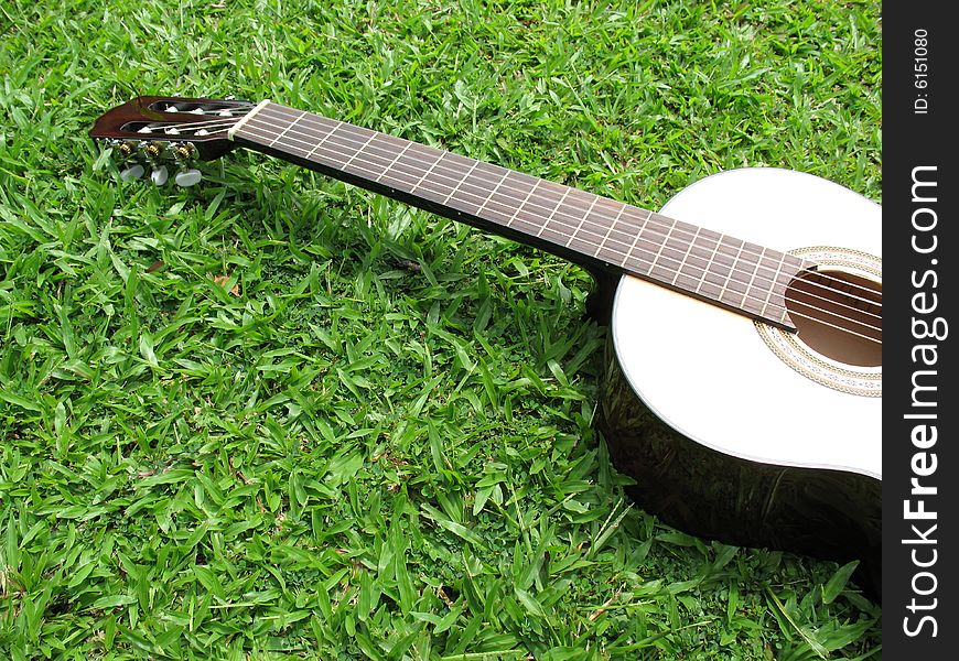 Single guitar against green grass. Single guitar against green grass