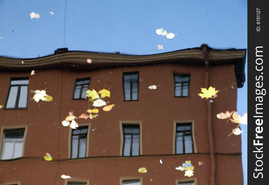 Reflection of house and swimming to down the river yellow leaves