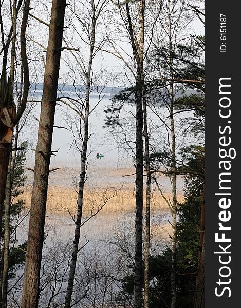 Lake, could be seen through trees