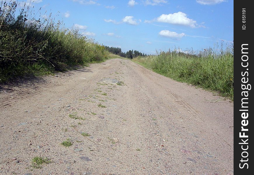 Road Through A Field