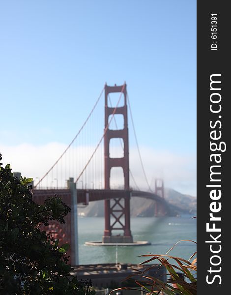 Golden Gate Bridge - San Francisco, California - focus is on the front grass