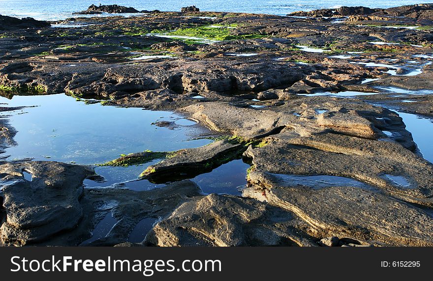 The tide pools around the Galapagos islands filled with water and life. The tide pools around the Galapagos islands filled with water and life