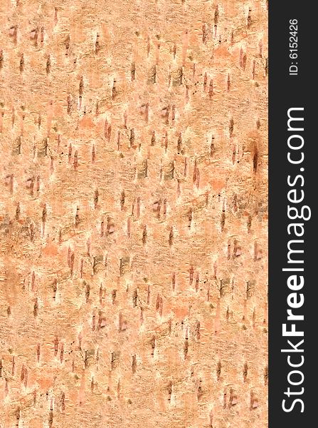 Natural bark of birch back texture useful for background