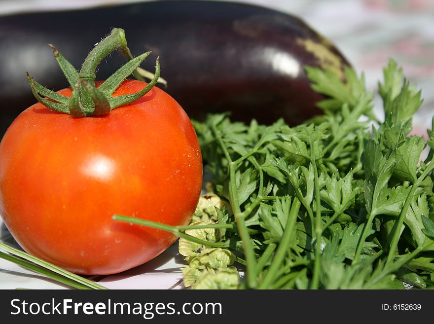 Gardener vegetables, tomato and parsley
