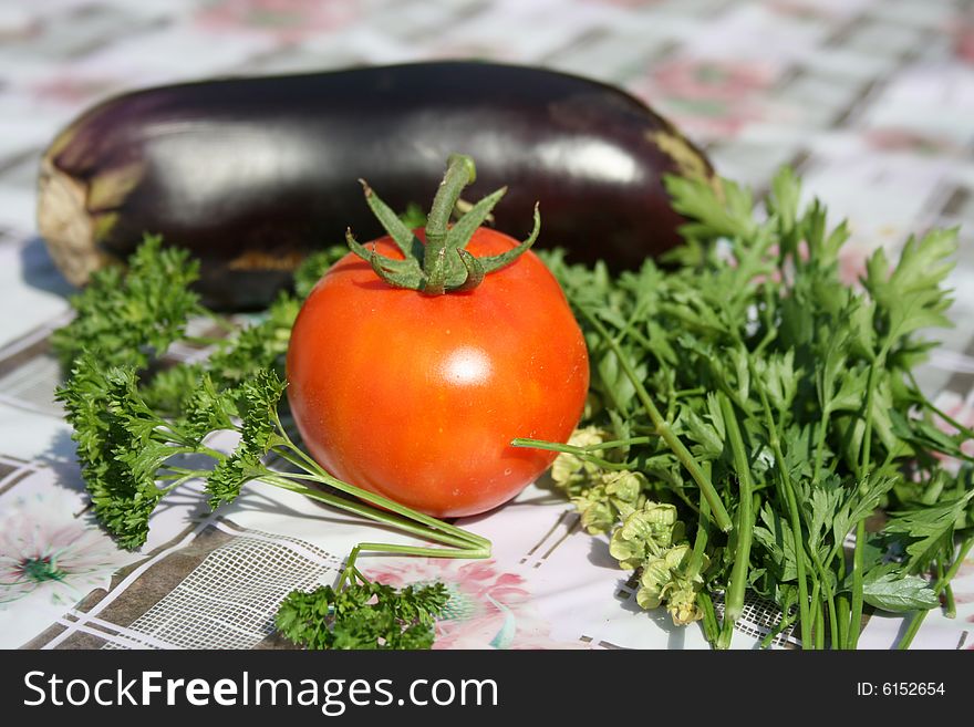 Gardener vegetables, tomato , egg-plant and parsley