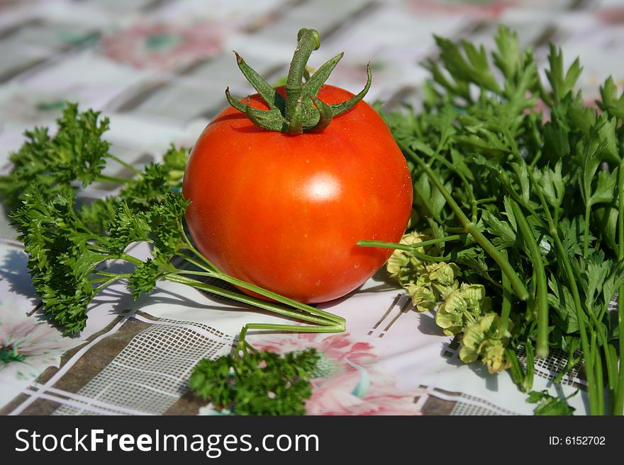 Gardener vegetables, tomato ,  and parsley