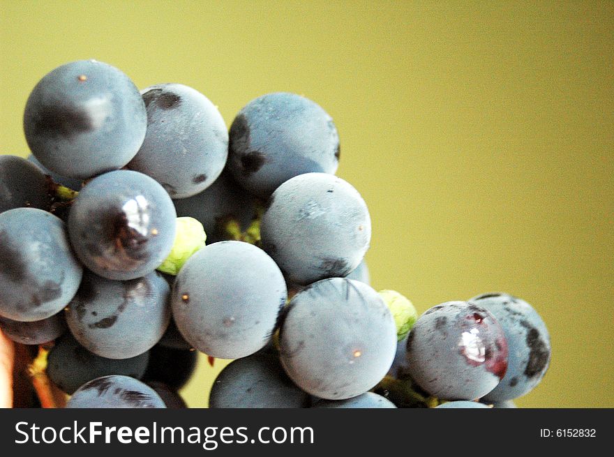 An isolated shot of a delicious grapes
