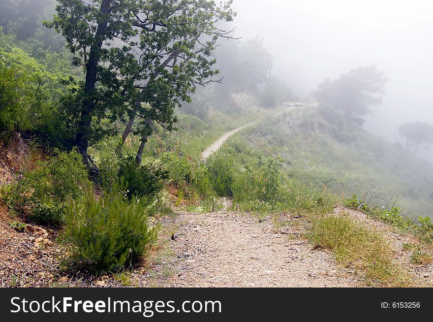 Foggy mountains, road and trees background