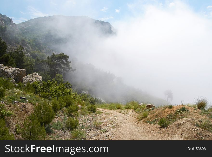 Foggy mountains, road and trees background