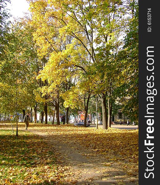 Autumn in the city. Itâ€™s time when trees turn yellow-red and brown and leaves begin to fall down the trees. Autumn in the city. Itâ€™s time when trees turn yellow-red and brown and leaves begin to fall down the trees.