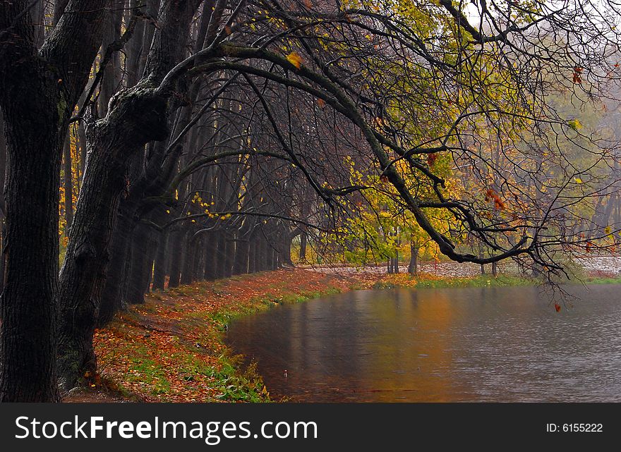 Late autumn in the park. Cold wind shake down the leaves. Late autumn in the park. Cold wind shake down the leaves