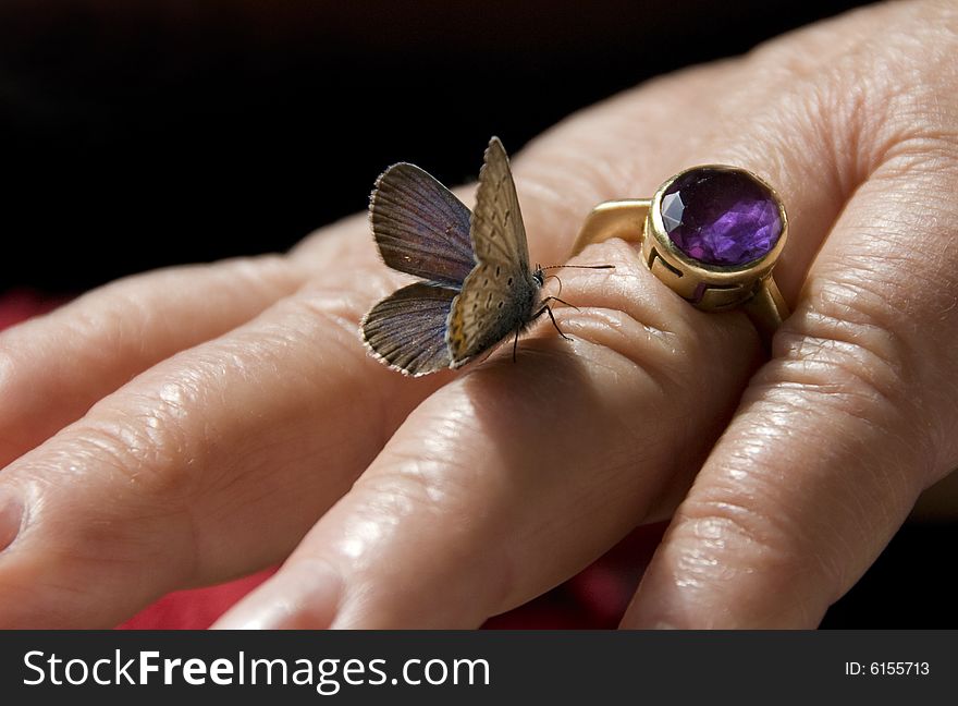 Butterfly on a woman's hand. Butterfly on a woman's hand