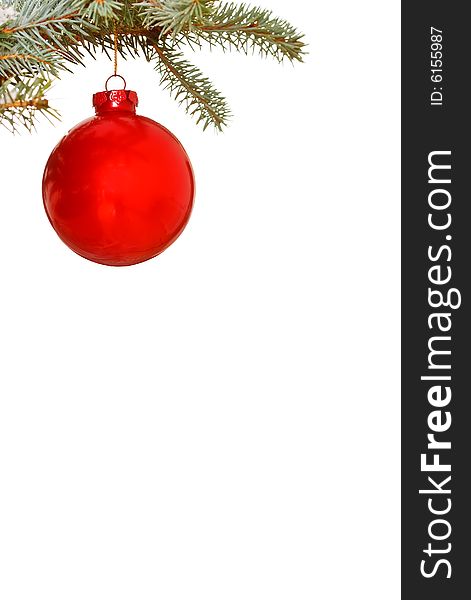 Bright red Christmas bauble on tree isolated  for copy space