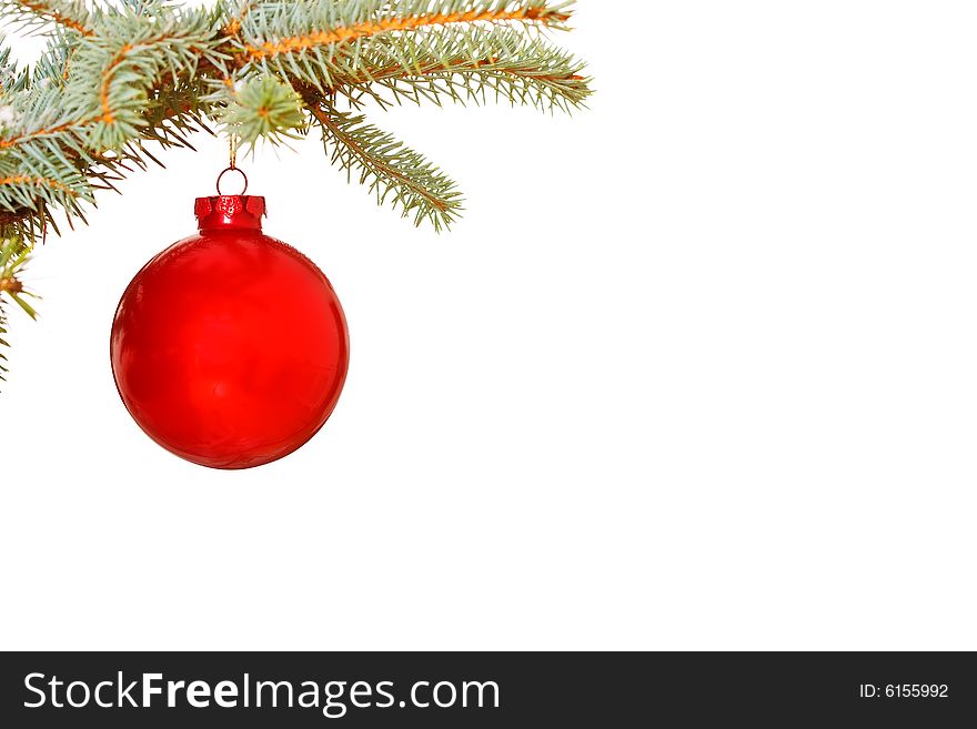 Bright red Christmas bauble on tree isolated  for copy space
