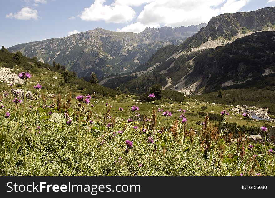 Beautiful nature in the pirin mountains in bulgaria. Beautiful nature in the pirin mountains in bulgaria