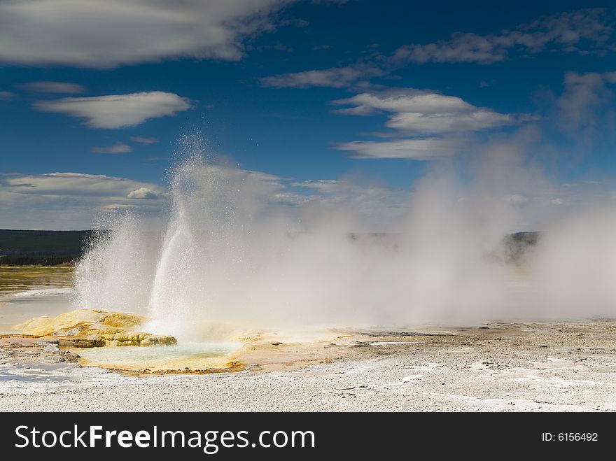 Geyser shooting hot water in the Yellowstone National Park.