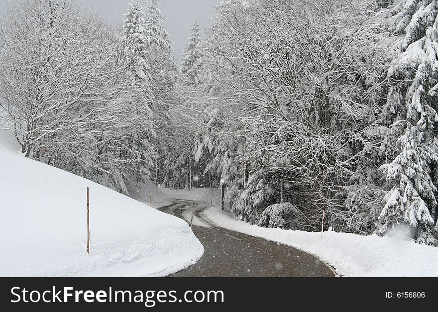 Empty countryside road, driving in snowfall. Empty countryside road, driving in snowfall