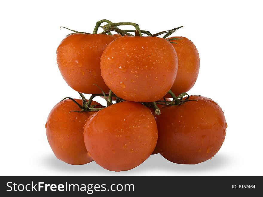 Fresh tomatoes ,clipping path included. Fresh tomatoes ,clipping path included.