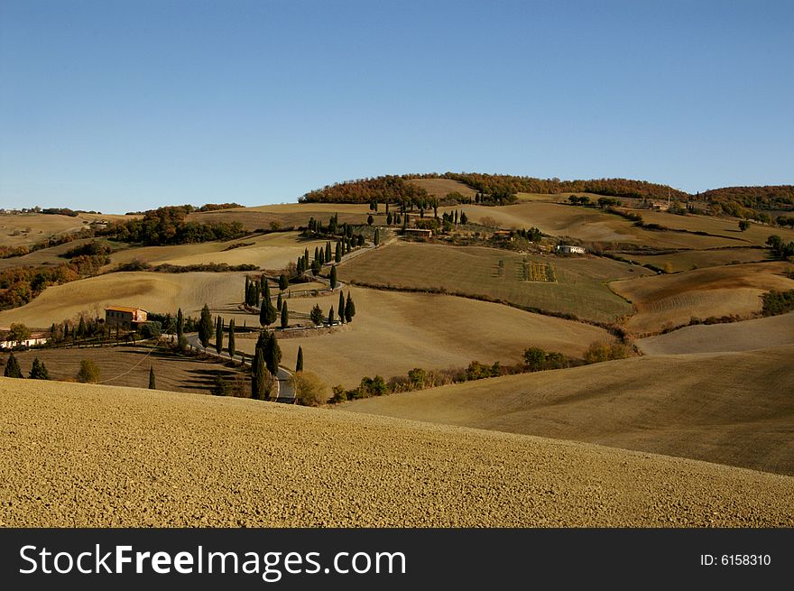 Tuscany In Autumn