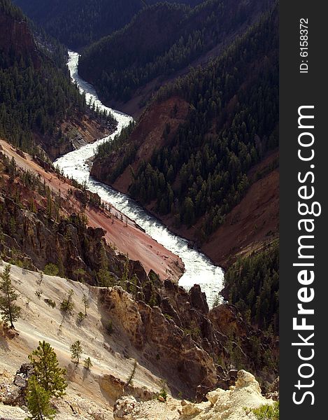 Yellowstone River in national park Yellowstone, USA, in early summer