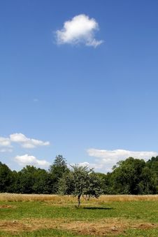 Summer Landscape Stock Images Summer Landscape Stock Images