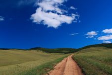 Country Road In Steppe Royalty Free Stock Photography