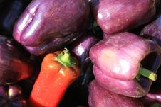 Purple And Red Peppers Stock Photography Purple And Red Peppers Stock Photography