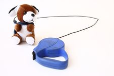 Toy Dog On A Leash Stock Photography