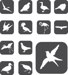 Set Buttons - 52_F. Birds Stock Photography