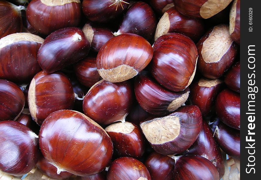 A lot of fresh sweet chestnuts just taken from the woods. A lot of fresh sweet chestnuts just taken from the woods
