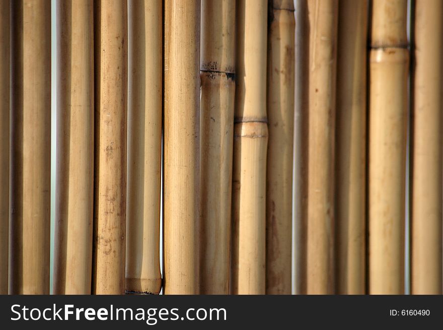 Natural bamboo wall background pattern. Natural bamboo wall background pattern