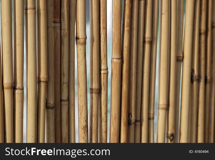 Natural bamboo wall background pattern. Natural bamboo wall background pattern