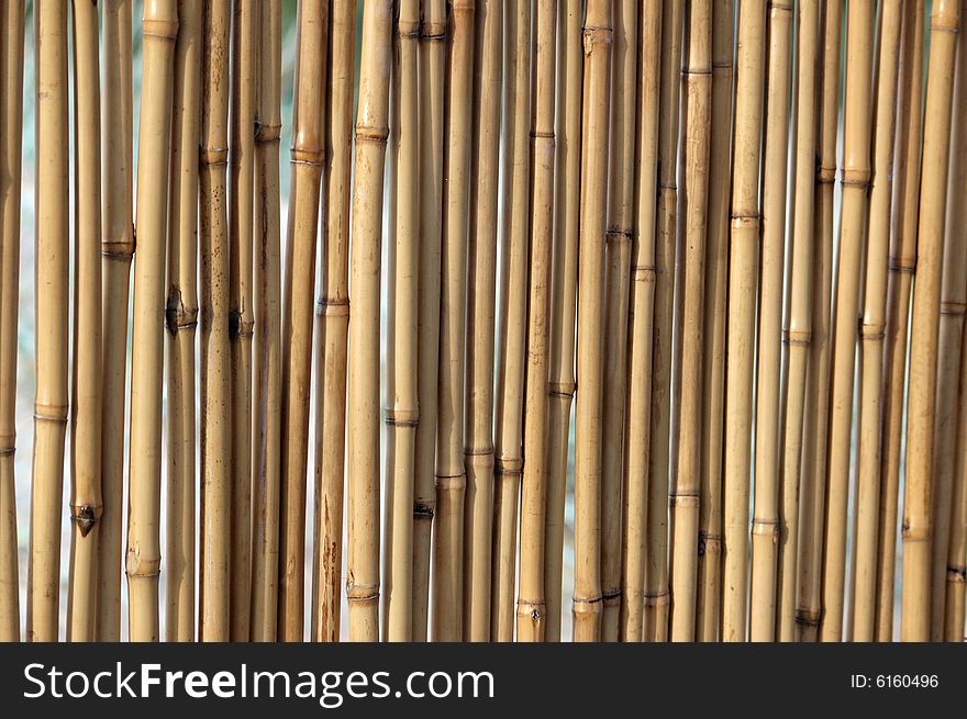 Natural bamboo wall background pattern. Natural bamboo wall background pattern