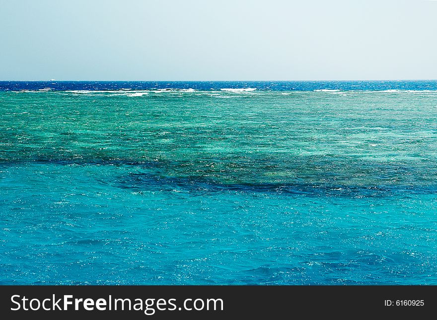 Beauty reefs in the Red sea. Exotic country. Beauty reefs in the Red sea. Exotic country.