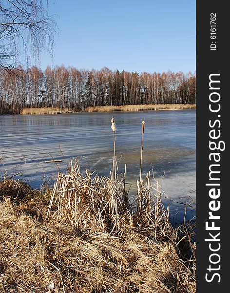 Winter views is view of czech lake in winter.