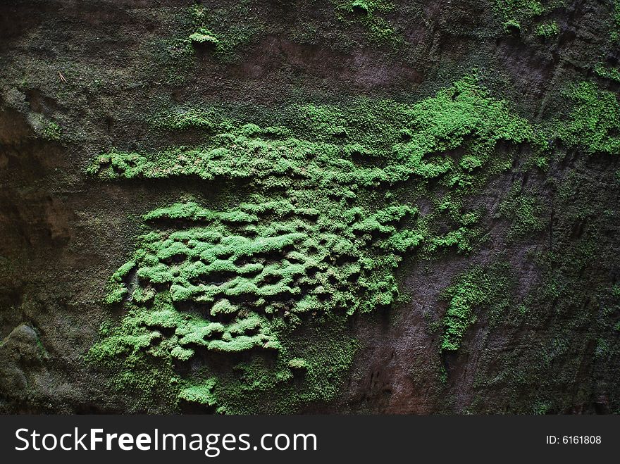 Green stone wall is photo from czech protected landscape area  called Andrspaske skaly.