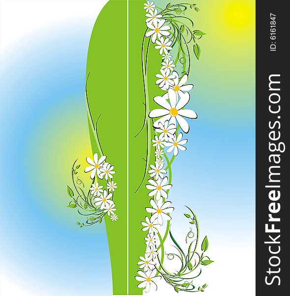 Floral decorative background for holidayâ€™s card. Chamomiles. Vector illustration