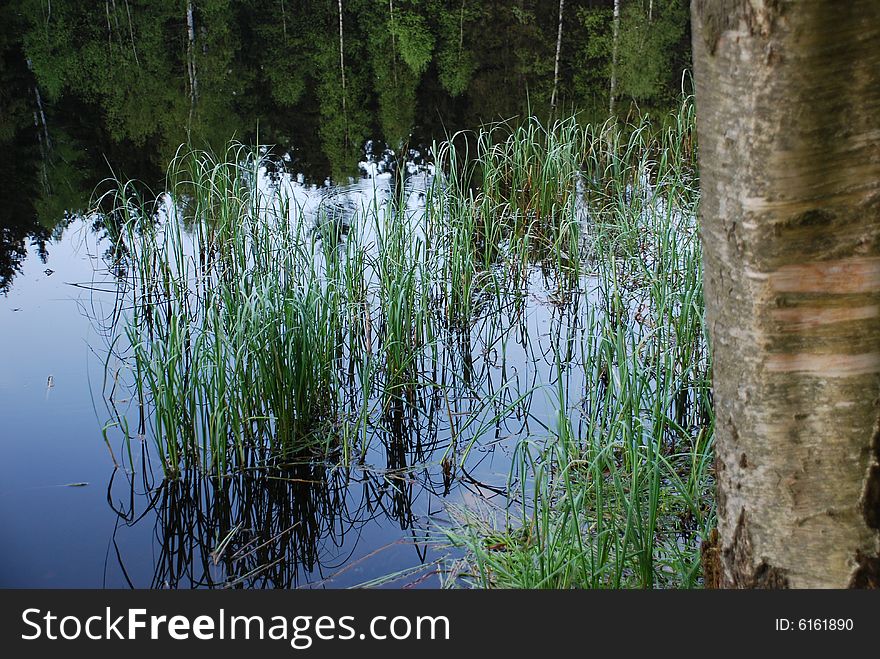 In the water is photo from Jiraskovy skaly, protected landscape area in Czech republic