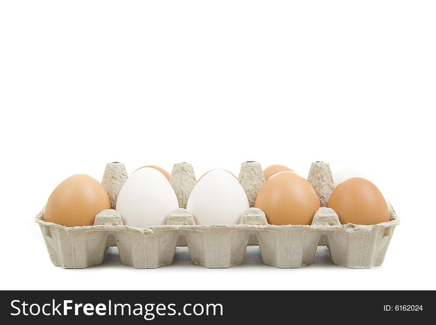 Fresh Eggs