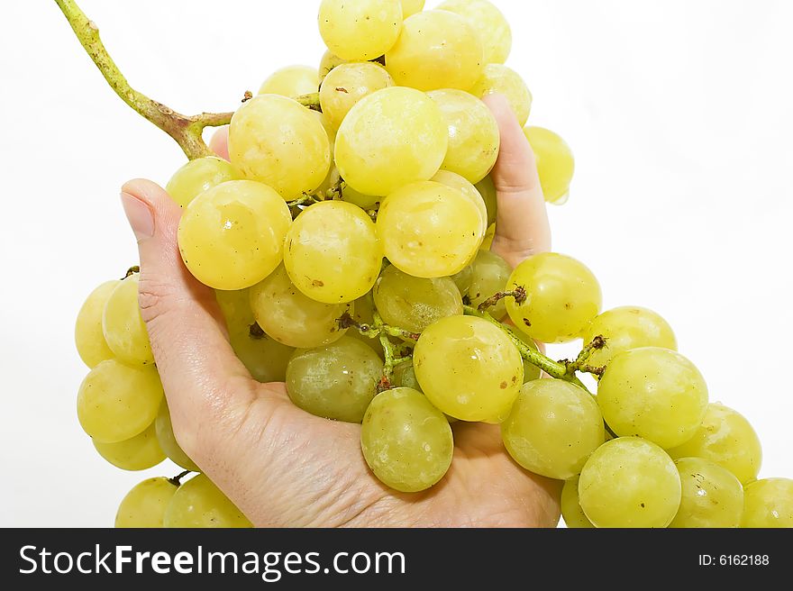 Man holding a yellow grape isolated on white background. Man holding a yellow grape isolated on white background
