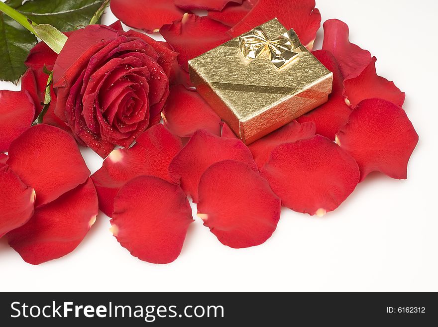 Petals and a rose with a golden gift box on a white background. Petals and a rose with a golden gift box on a white background.