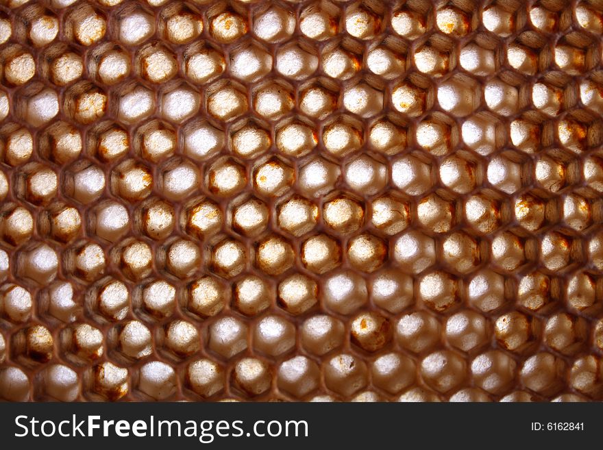Natural honey texture without honey (abstract background)
