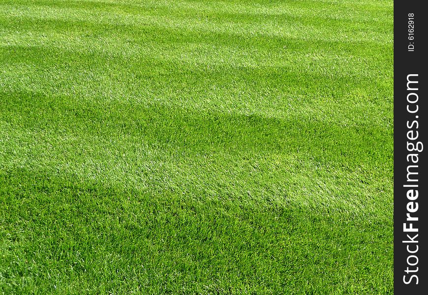 Green Grass Background