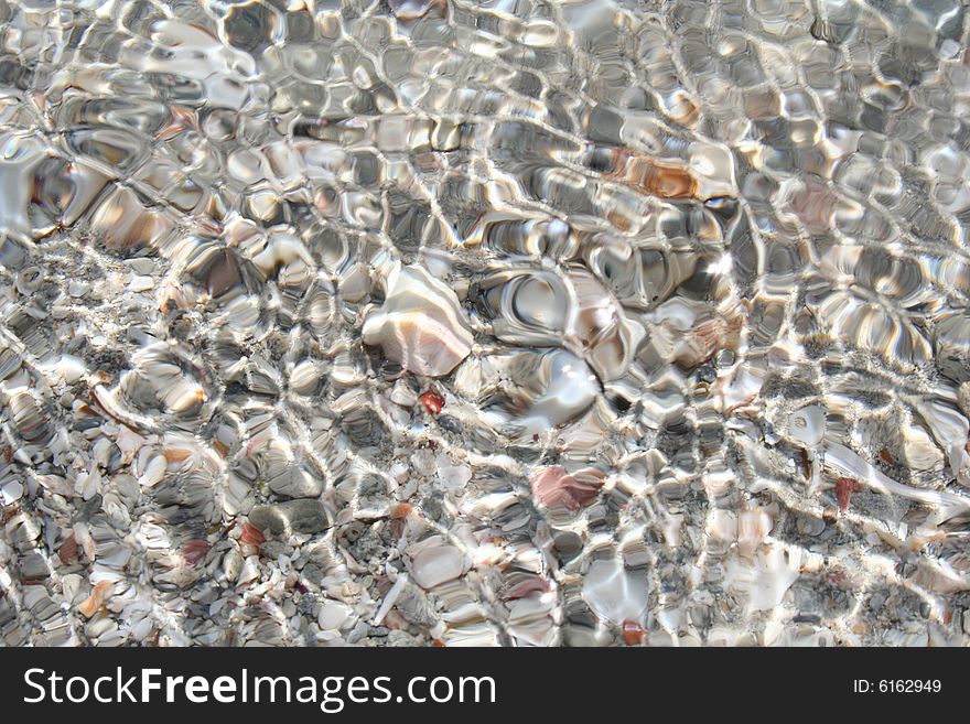 Shell and Sea texture
