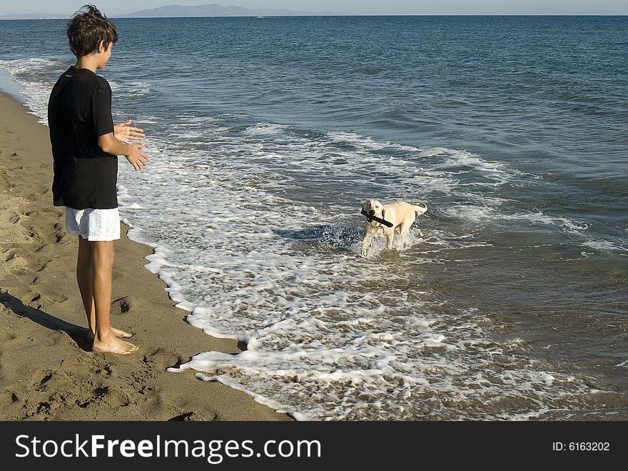 Boy and his dog having fun on the beach. Boy and his dog having fun on the beach