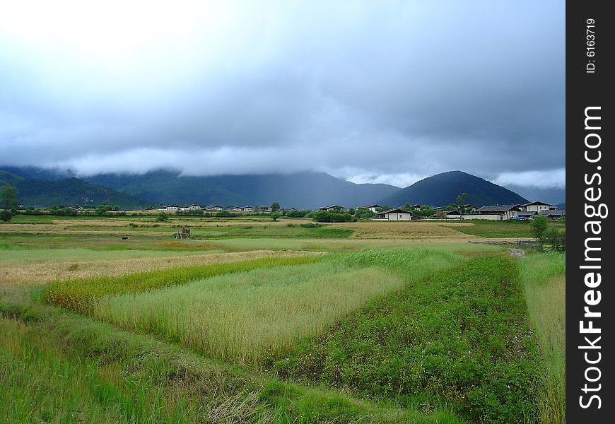 The photo is about Yunan province of China, there is a large field around a small village witch in front of mountains, there are some clouds in the sky. The photo is about Yunan province of China, there is a large field around a small village witch in front of mountains, there are some clouds in the sky.