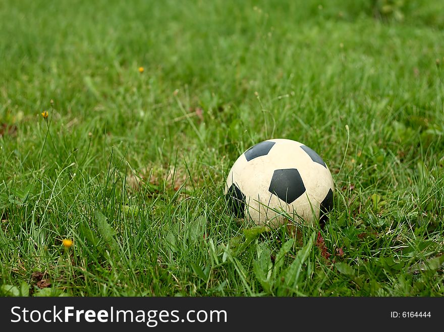 Football ball on green grass