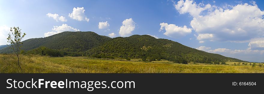A panorama of golden field and green mountain on a sunny summer day. A panorama of golden field and green mountain on a sunny summer day