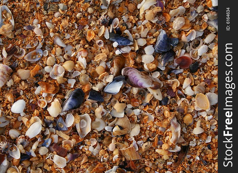 The sand of orange Raudisandur beach (Iceland). The orange sand are actually broken sea shells that give the beach its famous color. The sand of orange Raudisandur beach (Iceland). The orange sand are actually broken sea shells that give the beach its famous color.